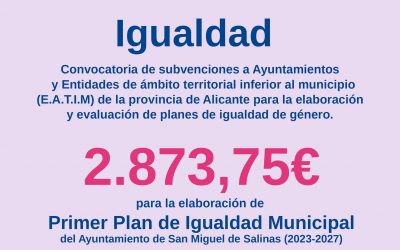 SUBVENCIONES: I Plan de Igualdad Municipal