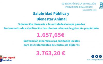 SUBVENCIÓN Esterilización colonias felinas