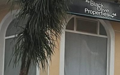 Nuevas palmeras en la calle 19 de Abril