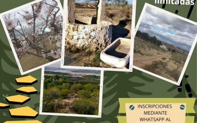 VOLVEMOS A CAMINAR HACIA LA INTEGRACIÓN