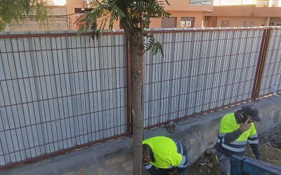 Árboles nuevos en el CEIP Gloria Fuertes