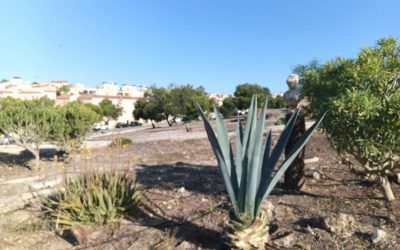 Limpieza y desbroce en la zona situada entre Blue Hill y El Galán