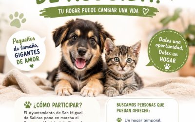 Programa Municipal de Casas de Acogida